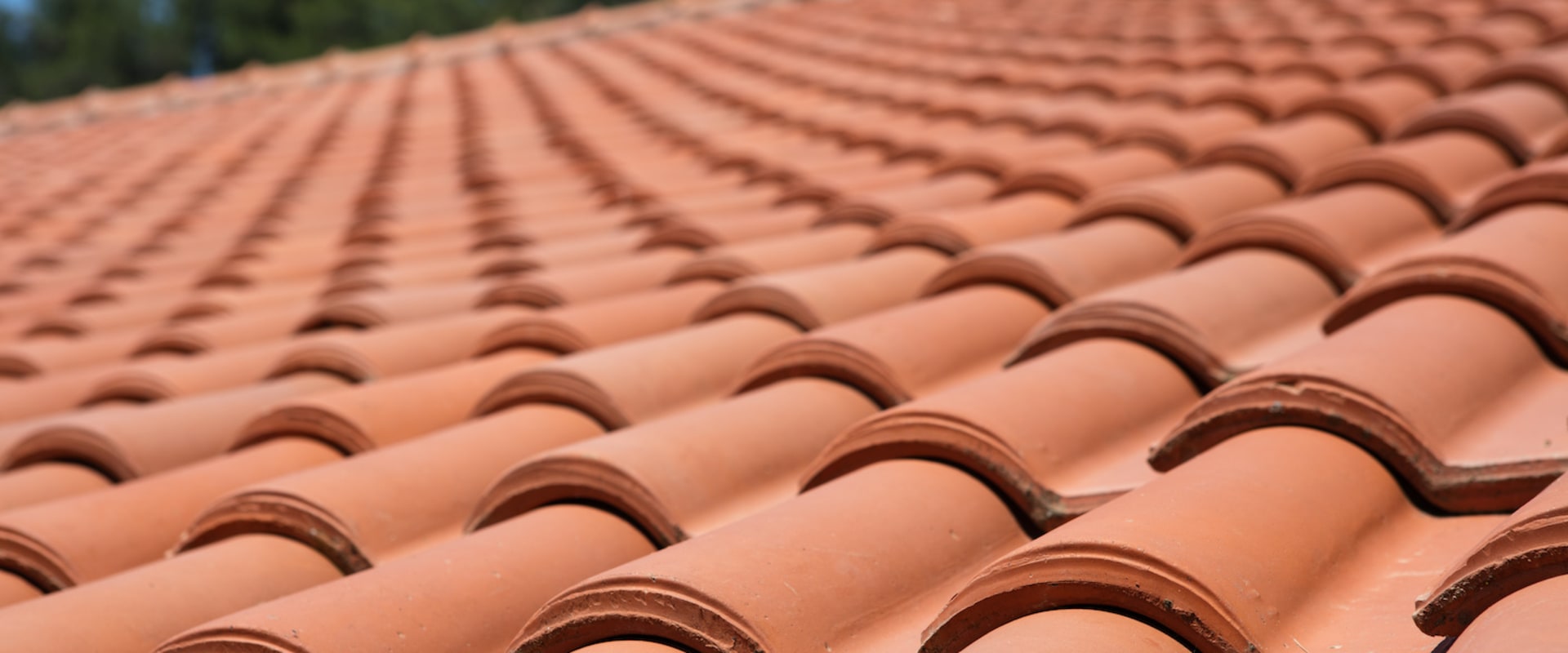 What type of roof is the cheapest?