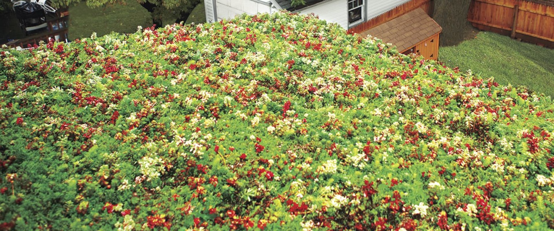 Can you put a green roof on an existing roof?