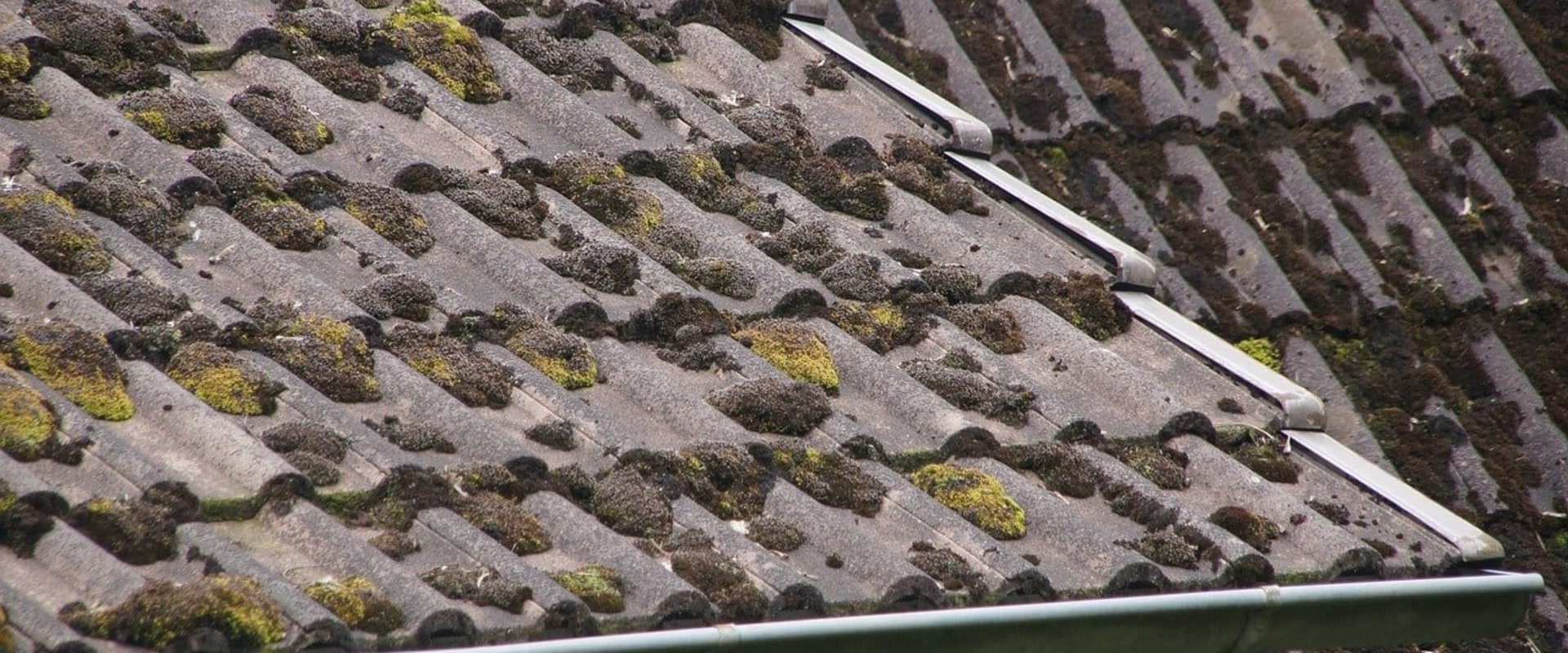 Should a 20 year old roof replace?