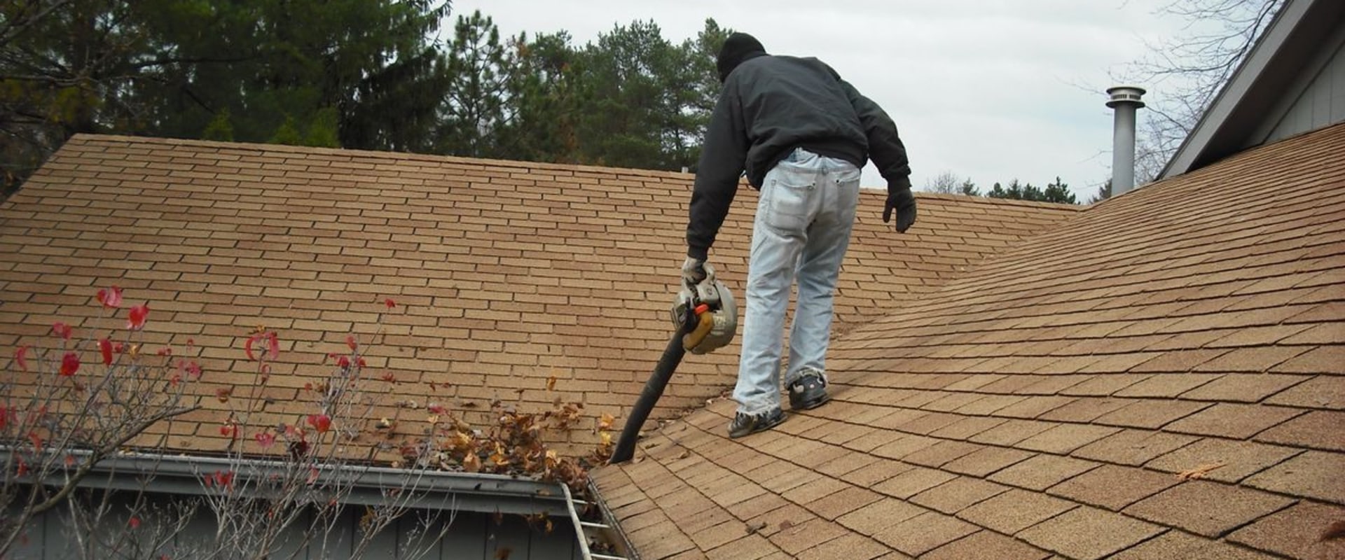 What should you do to maintain your roof?