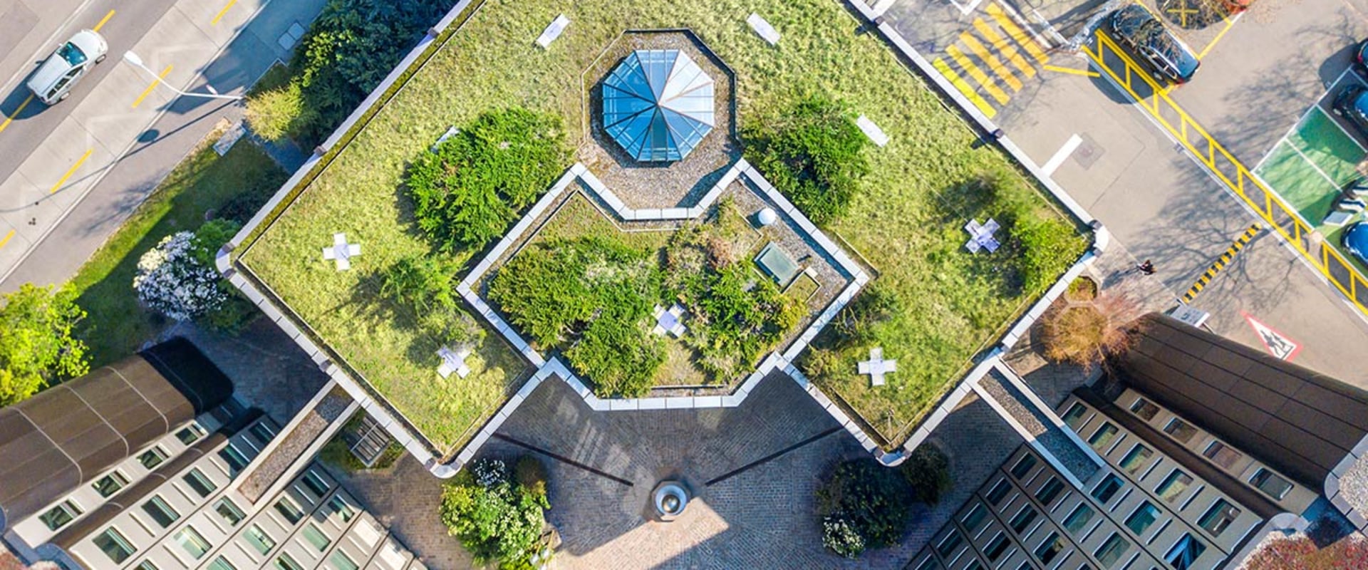 What are the concerns with green roofs?