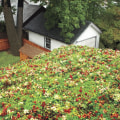 Can you put a green roof on an existing roof?