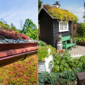 Installing a Green or Living Roof: What You Need to Know