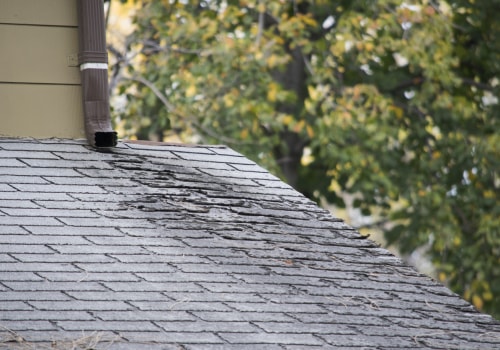 Signs You Need a New Roof: What to Look For