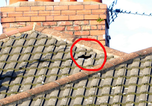 Can you live in a house with a roof leak?
