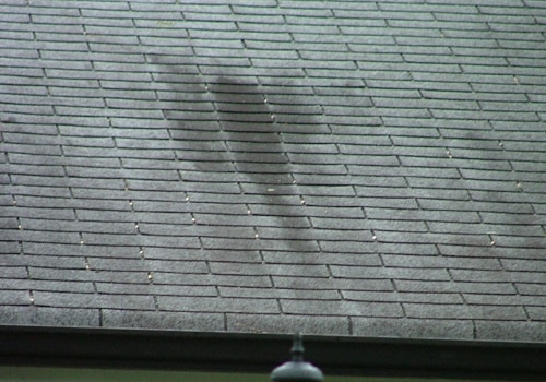 What are signs of roof damage?